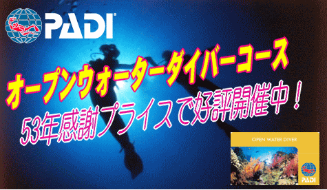 オープンウォーター講習・54周年キャンペーン価格