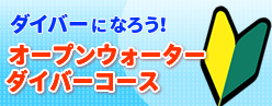 ダイバーになろう！PADIオープンウォーター講習