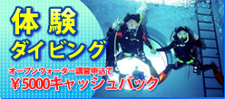 体験ダイビング・オープンウォーター講習お申し込みで全額キャッシュバック