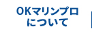 東京都のダイビングスクールOKマリンプロ（オーケーマリンプロ）について