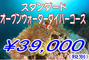 OKマリンプロ　初心者ダイバー講習・スタンダードウォーターダイバーコース